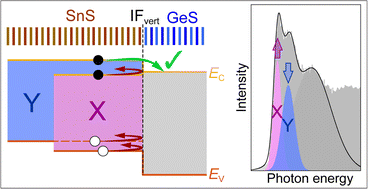 Graphical abstract: Valley-selective carrier transfer in SnS-based van der Waals heterostructures