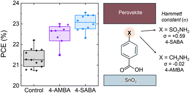 Graphical abstract: Effect of the Hammett substituent constant of para-substituted benzoic acid on the perovskite/SnO2 interface passivation in perovskite solar cells