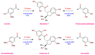 Graphical abstract: Biomimetic total syntheses of renifolin F and antiarone K