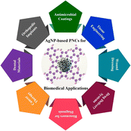 Graphical abstract: Recent advances of silver nanoparticle-based polymer nanocomposites for biomedical applications