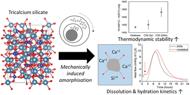 Graphical abstract: Thermodynamic stability and reactivity of amorphised tricalcium silicate
