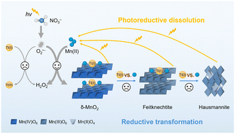 Graphical abstract: Coupling of manganese oxidative crystallization and thallium immobilization under light irradiation