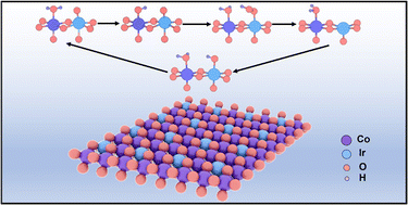 Graphical abstract: Two-dimensional iridium–cobalt oxide for high-efficiency acidic oxygen evolution reaction electrocatalysis