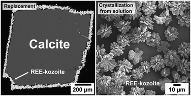 Graphical abstract: Crystallization, replacement, and redox pathways governing rare earth carbonate and phosphate formation