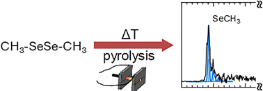 Graphical abstract: Threshold photoelectron spectroscopy of small organo-selenium radicals