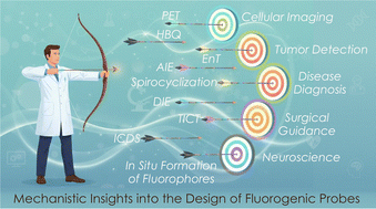 Graphical abstract: Mechanistic insights into the design of fluorogenic molecules for wash-free biological applications