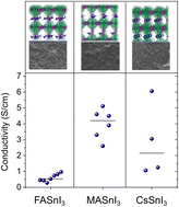 Graphical abstract: Role of the monovalent cation in the self-doping of tin halide perovskites