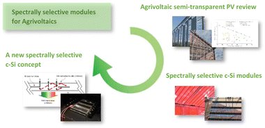 Graphical abstract: Spectrally selective modules for agrivoltaics
