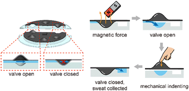 Graphical abstract: Bistable magnetic valves for selective sweat sampling in wearable microfluidics
