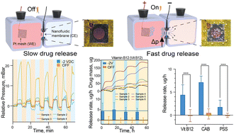 Graphical abstract: Nanofluidic-based electrochemical pump for remotely controlled, on-demand drug delivery
