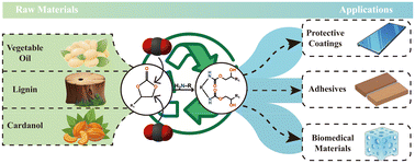 Graphical abstract: Non-isocyanate polyurethane from bio-based feedstocks and their interface applications