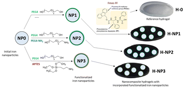 Graphical abstract: Amine- and hydroxyl-functionalization of iron nanoparticles for tailoring the properties of Fmoc-FF-based magnetic hydrogels: interfacial design toward biocompatible materials