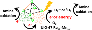 Graphical abstract: Mn2+ and [Ru(bpy)3]2+ in UiO-67 metal organic frameworks enhance photocatalytic oxidation of benzylamine via an electron transfer pathway