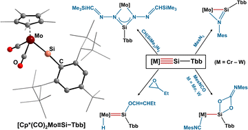 Graphical abstract: Metal–silicon triple bonds: reactivity of the silylidyne complexes [Cp*(CO)2M [[triple bond, length as m-dash]] Si–Tbb] (M = Cr – W)