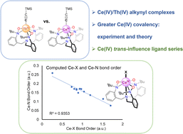 Graphical abstract: Comparison of Ce(iv)/Th(iv)-alkynyl complexes and observation of a trans-influence ligand series for Ce(iv)