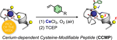 Graphical abstract: Cerium-mediated site-selective cysteine functionalization