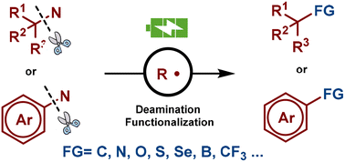 Graphical abstract: Electrochemical deamination functionalization via C–N bond cleavage and radical formation