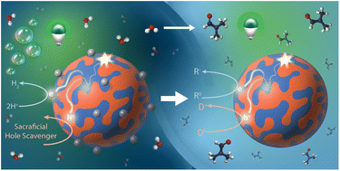 Graphical abstract: Polymer nanoparticle photocatalysts realized in non-aqueous solvents
