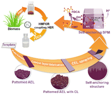 Graphical abstract: Structurally self-anchoring bipolar membranes with interlocked interfaces for coupled hydrogen production and biomass electrosynthesis