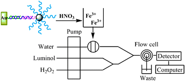 Graphical abstract: Bio-bar-code functionalized magnetic nanoparticle label for ultrasensitive flow injection chemiluminescence detection of DNA hybridization