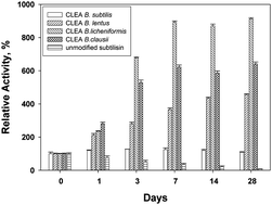 Graphical abstract: Implementation of cross-linked enzyme aggregates of proteases for marine paint applications