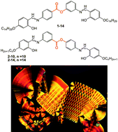 Graphical abstract: Four-ring achiral unsymmetrical bent core molecules forming strongly fluorescent smectic liquid crystals with spontaneous polar and chiral ordered B7 and B1 phases