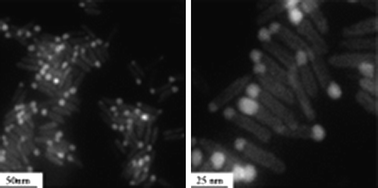 Graphical abstract: Size controlled gold tip growth onto II–VI nanorods