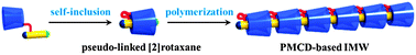 Graphical abstract: Synthesis of a head-to-tail-type cyclodextrin-based insulated molecular wire