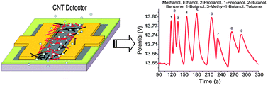 Graphical abstract: Fast carbon nanotube detectors for micro gas chromatographs