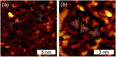 Graphical abstract: On-surface polymerization of 1,4-diethynylbenzene on Cu(111)