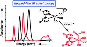 Graphical abstract: Direct observation of the reduction of carbon dioxide by rhenium bipyridine catalysts