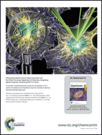 Graphical abstract: Back cover