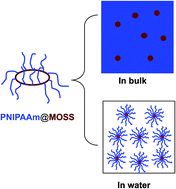 Graphical abstract: Synthesis and self-assembly behavior of organic–inorganic macrocyclic molecular brushes composed of macrocyclic oligomeric silsesquioxane and poly(N-isopropylacrylamide)