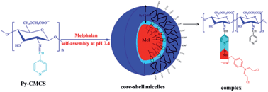 Graphical abstract: Hydrogen-bonding strategy for constructing pH-sensitive core–shell micelles with hydrophilic polymer as the shell and hydrophobic drug as the core