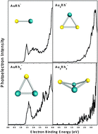 Graphical abstract: Ab initio and anion photoelectron study of AunRhm (n = 1–7, m = 1–2) clusters