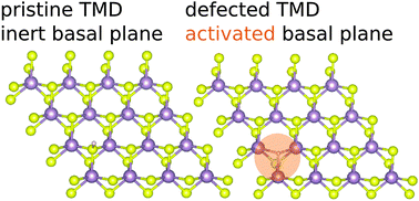 Graphical abstract: Activating and tuning basal planes of MoO2, MoS2, and MoSe2 for hydrogen evolution reaction