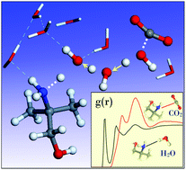 Graphical abstract: On the origin of preferred bicarbonate production from carbon dioxide (CO2) capture in aqueous 2-amino-2-methyl-1-propanol (AMP)