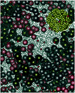 Graphical abstract: Enzyme kinetics and transport in a system crowded by mobile macromolecules