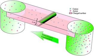 Graphical abstract: Drastic alteration of diffusioosmosis due to steric effects