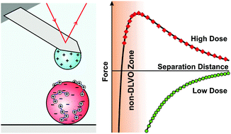 Graphical abstract: Nanometer-ranged attraction induced by multivalent ions between similar and dissimilar surfaces probed using an atomic force microscope (AFM)