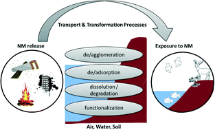 Graphical abstract: Modeling nanomaterial fate and uptake in the environment: current knowledge and future trends
