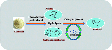 Graphical abstract: Corncob lignocellulose for the production of furfural by hydrothermal pretreatment and heterogeneous catalytic process