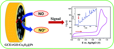 Graphical abstract: An electrochemical sensing platform based on a reduced graphene oxide–cobalt oxide nanocube@platinum nanocomposite for nitric oxide detection