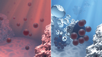 Graphical abstract: Graphene-based Janus micromotors for the dynamic removal of pollutants