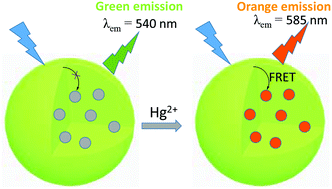 Graphical abstract: Aggregation induced emission of a cyanostilbene amphiphile as a novel platform for FRET-based ratiometric sensing of mercury ions in water