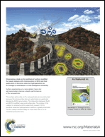 Graphical abstract: Back cover