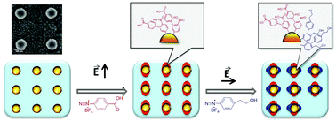 Graphical abstract: Multi-functionalization of lithographically designed gold nanodisks by plasmon-mediated reduction of aryl diazonium salts