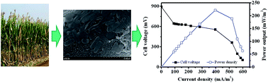 Graphical abstract: Improving the extracellular electron transfer of Shewanella oneidensis MR-1 for enhanced bioelectricity production from biomass hydrolysate