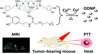 Graphical abstract: A facile synthesis of a theranostic nanoparticle by oxidation of dopamine-DTPA-Gd conjugates
