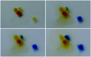 Graphical abstract: Communication between hydrogel beads via chemical signalling